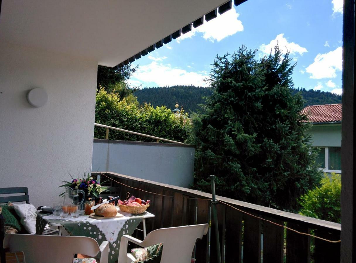 Gib Mir Funf! Ferienwohnung In St. Blasien Exteriér fotografie